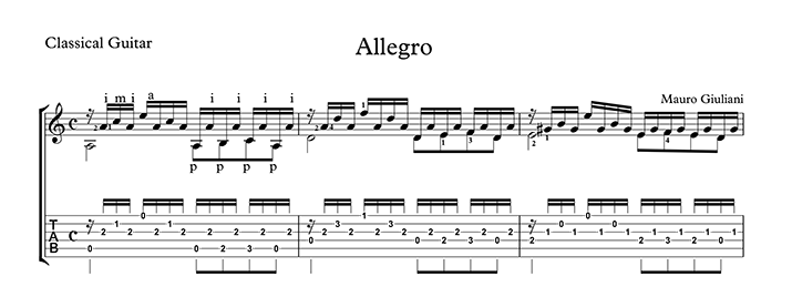 AllegrobyMauroGiuliani-ClassicalGuitar.png